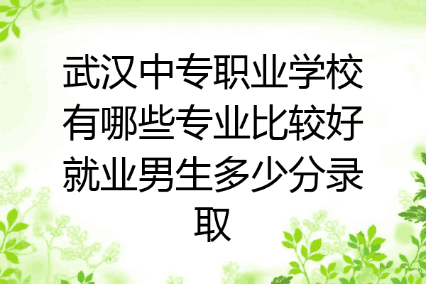 武汉中专职业学校有哪些专业比较好就业男生多少分录取