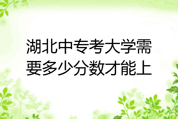 湖北中专考大学需要多少分数才能上