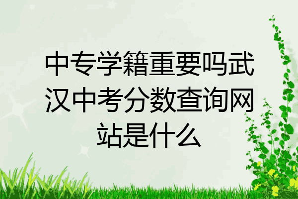 中专学籍重要吗武汉中考分数查询网站是什么