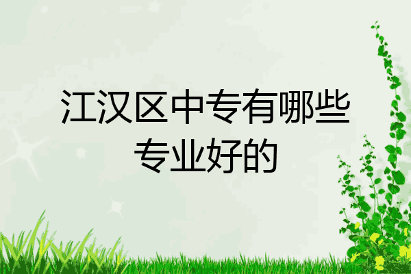 江汉区中专有哪些专业好的