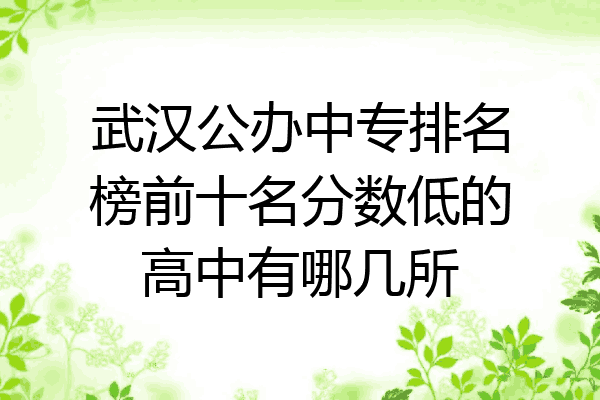 武汉公办中专排名榜前十名分数低的高中有哪几所