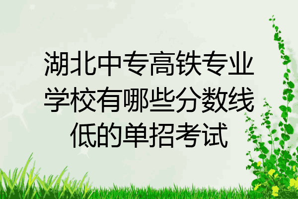 湖北中专高铁专业学校有哪些分数线低的单招考试