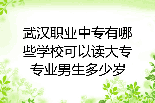 武汉职业中专有哪些学校可以读大专专业男生多少岁
