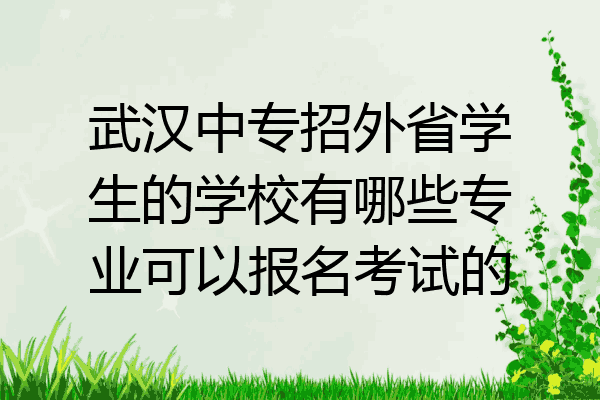 武汉中专招外省学生的学校有哪些专业可以报名考试的