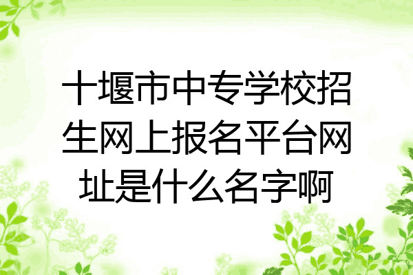 十堰市中专学校招生网上报名平台网址是什么名字啊