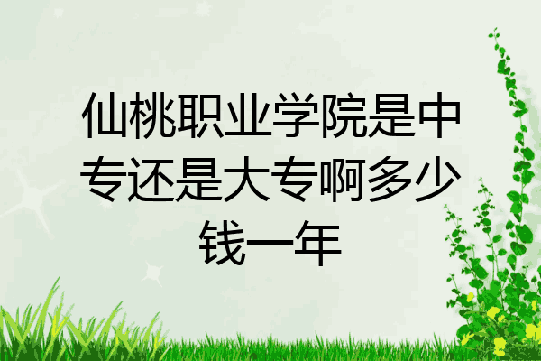 仙桃职业学院是中专还是大专啊多少钱一年