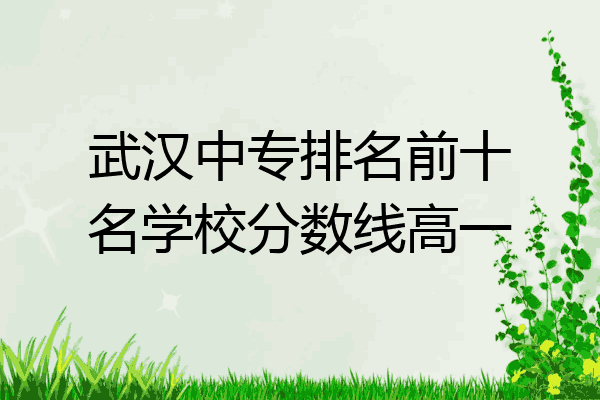 武汉中专排名前十名学校分数线高一