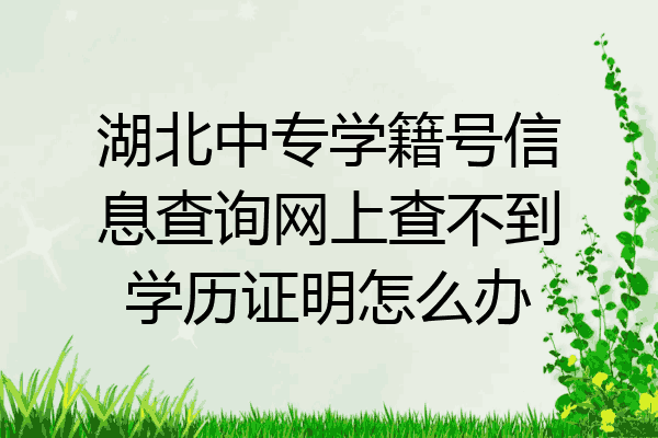 湖北中专学籍号信息查询网上查不到学历证明怎么办