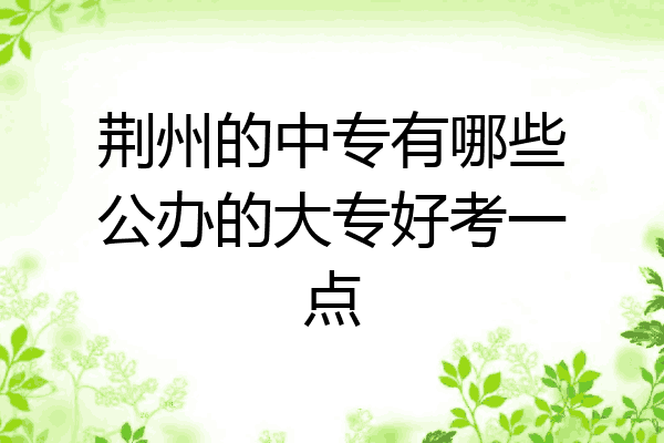 荆州的中专有哪些公办的大专好考一点