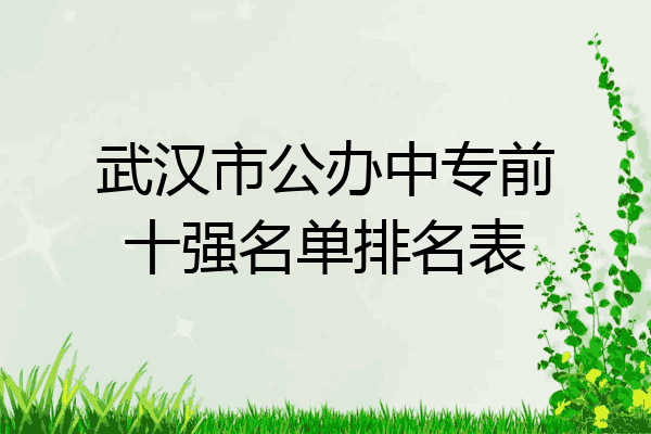 武汉市公办中专前十强名单排名表
