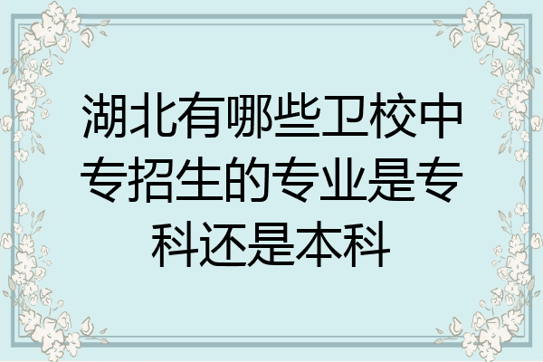 湖北有哪些卫校中专招生的专业是专科还是本科