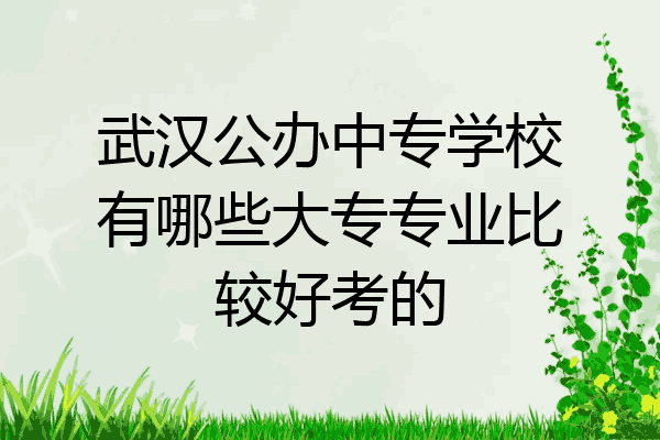 武汉公办中专学校有哪些大专专业比较好考的