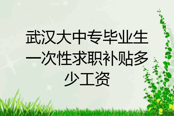 武汉大中专毕业生一次性求职补贴多少工资