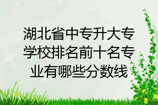 湖北省中专升大专学校排名前十名专业有哪些分数线