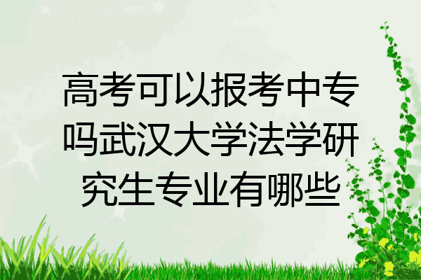 高考可以报考中专吗武汉大学法学研究生专业有哪些