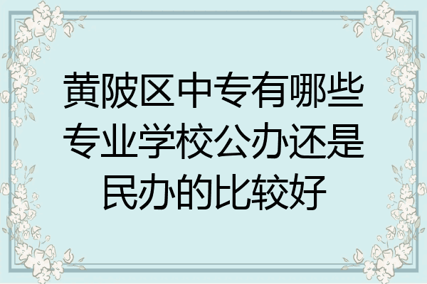 黄陂区中专有哪些专业学校公办还是民办的比较好