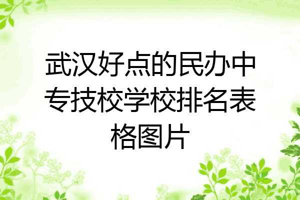 武汉好点的民办中专技校学校排名表格图片