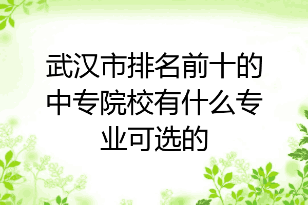 武汉市排名前十的中专院校有什么专业可选的