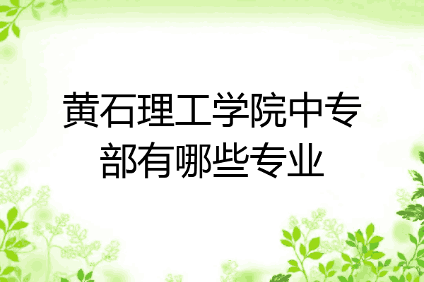 黄石理工学院中专部有哪些专业