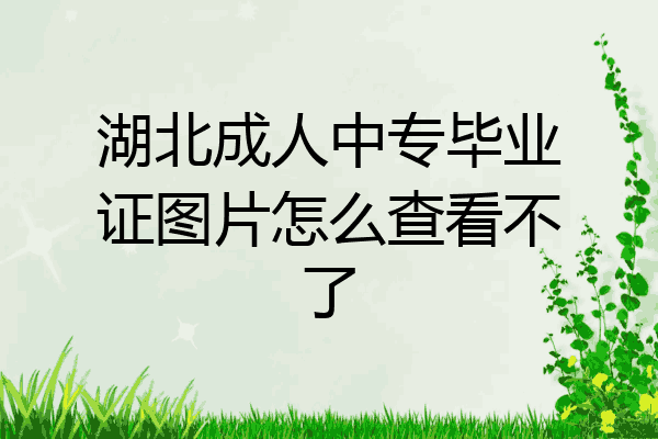 湖北成人中专毕业证图片怎么查看不了