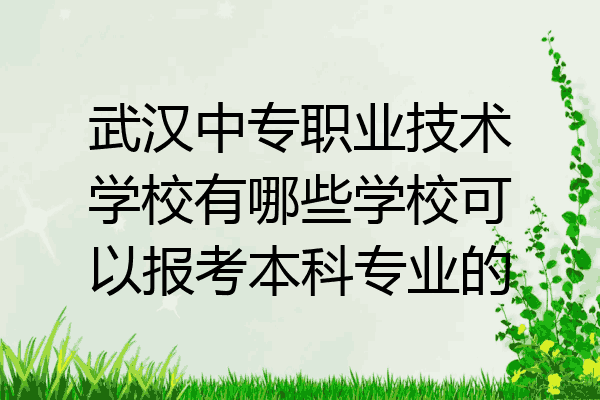 武汉中专职业技术学校有哪些学校可以报考本科专业的