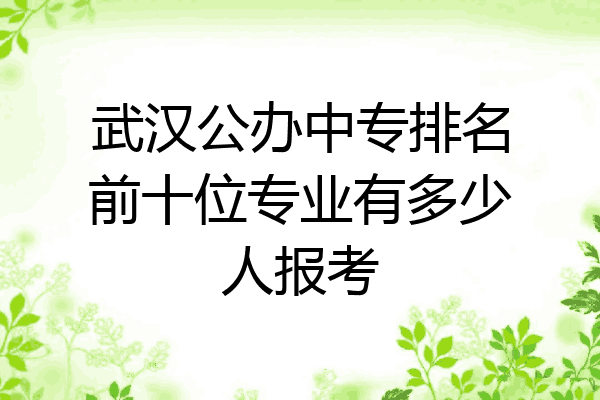 武汉公办中专排名前十位专业有多少人报考