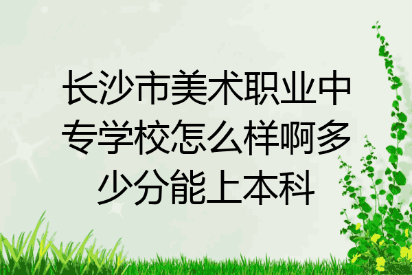 长沙市美术职业中专学校怎么样啊多少分能上本科