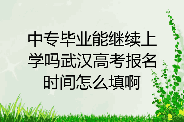 中专毕业能继续上学吗武汉高考报名时间怎么填啊