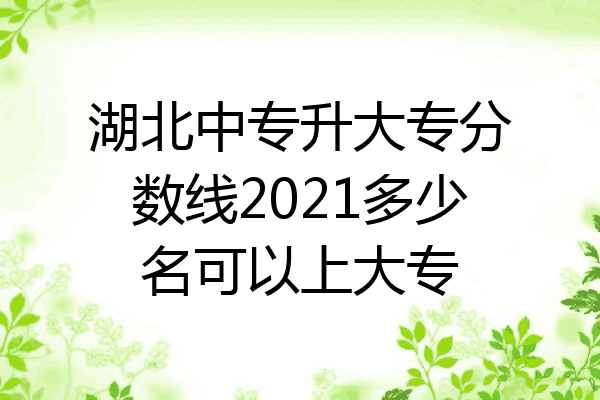 湖北中专升大专分数线2021多少名可以上大专