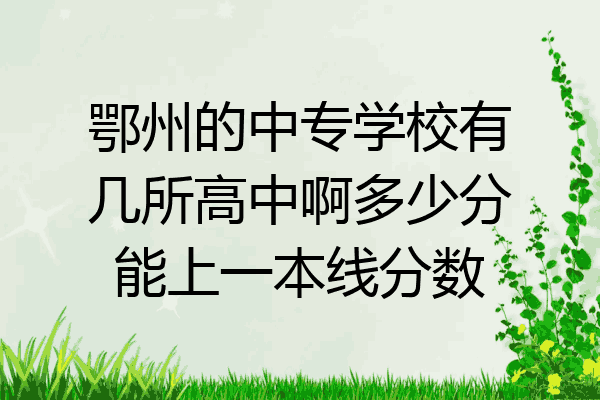 鄂州的中专学校有几所高中啊多少分能上一本线分数