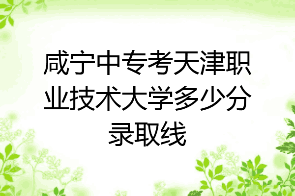 咸宁中专考天津职业技术大学多少分录取线