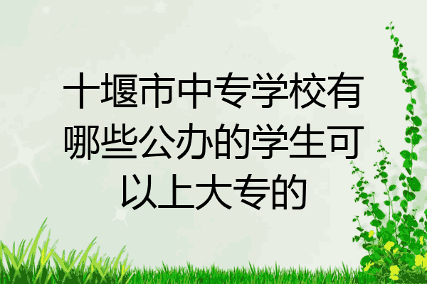 十堰市中专学校有哪些公办的学生可以上大专的