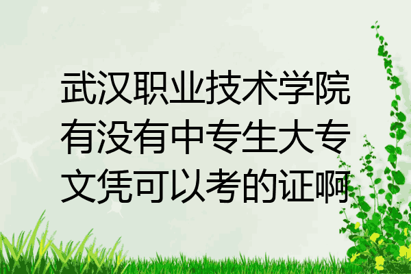 武汉职业技术学院有没有中专生大专文凭可以考的证啊