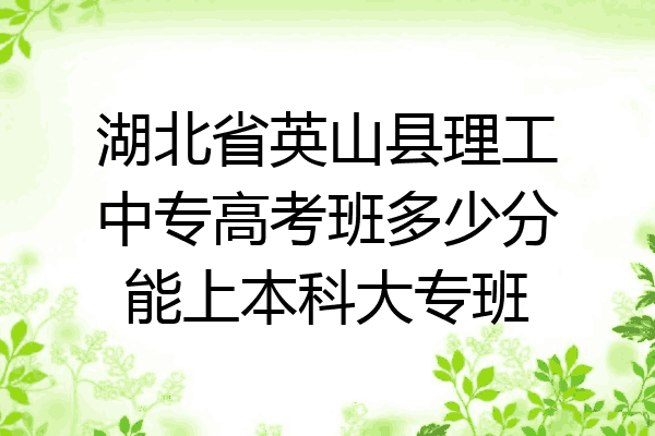 湖北省英山县理工中专高考班多少分能上本科大专班