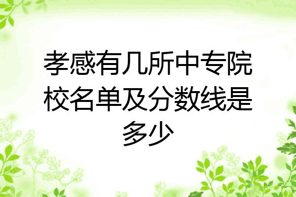 孝感有几所中专院校名单及分数线是多少