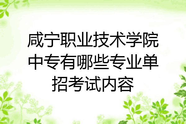 咸宁职业技术学院中专有哪些专业单招考试内容