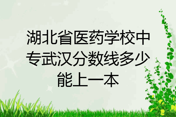 湖北省医药学校中专武汉分数线多少能上一本