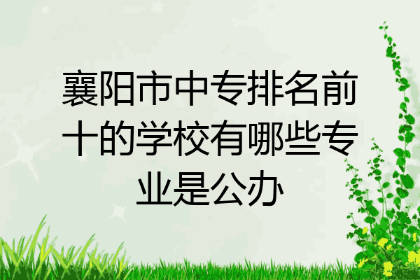 襄阳市中专排名前十的学校有哪些专业是公办