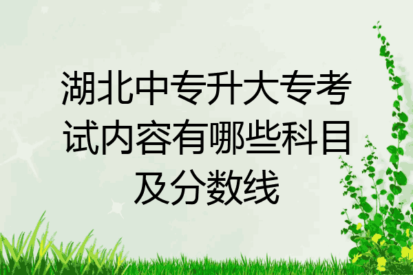 湖北中专升大专考试内容有哪些科目及分数线