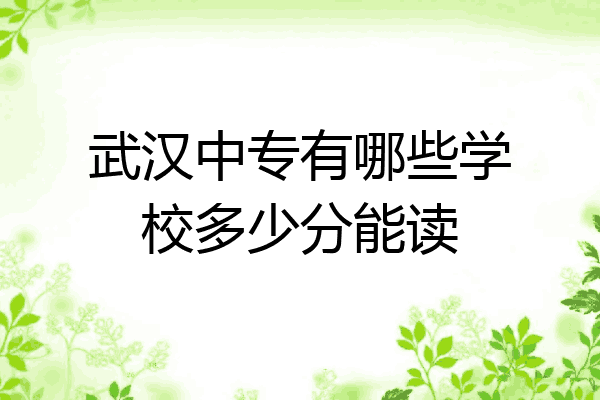 武汉中专有哪些学校多少分能读