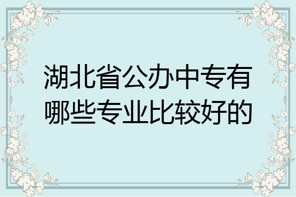 湖北省公办中专有哪些专业比较好的