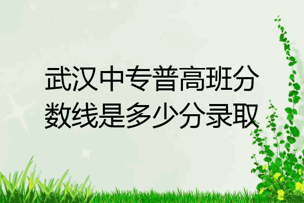 武汉中专普高班分数线是多少分录取