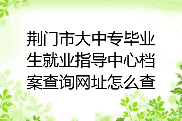 荆门市大中专毕业生就业指导中心档案查询网址怎么查