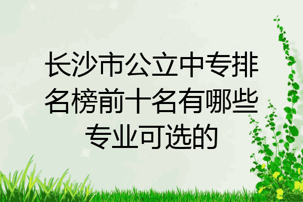 长沙市公立中专排名榜前十名有哪些专业可选的