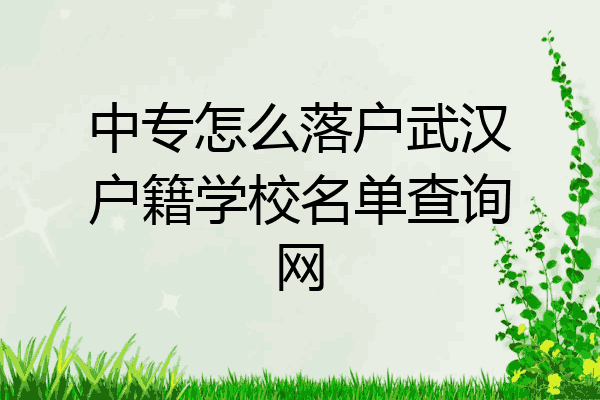 中专怎么落户武汉户籍学校名单查询网