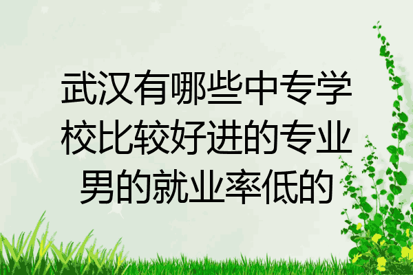 武汉有哪些中专学校比较好进的专业男的就业率低的