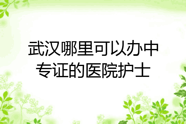 武汉哪里可以办中专证的医院护士