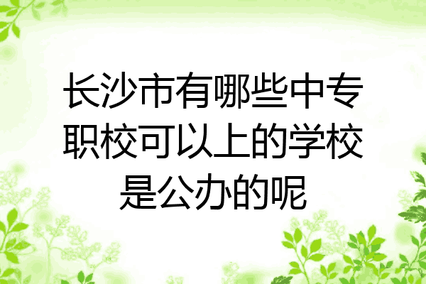 长沙市有哪些中专职校可以上的学校是公办的呢