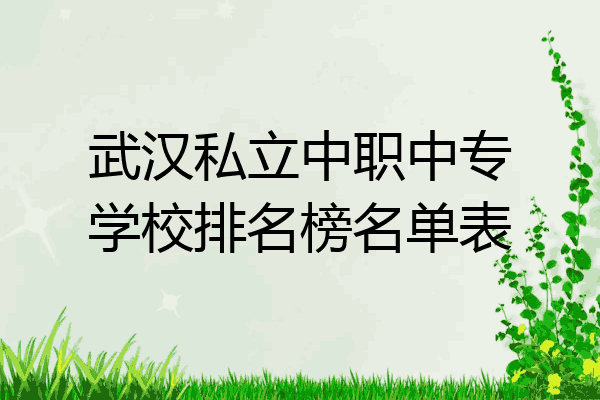 武汉私立中职中专学校排名榜名单表