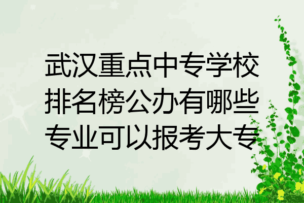 武汉重点中专学校排名榜公办有哪些专业可以报考大专